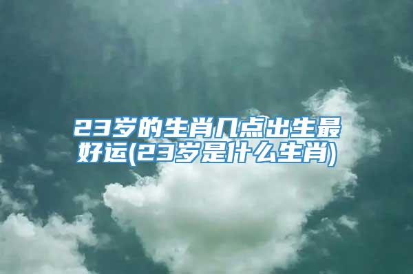 23岁的生肖几点出生最好运(23岁是什么生肖)