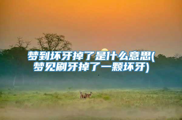 梦到坏牙掉了是什么意思(梦见刷牙掉了一颗坏牙)