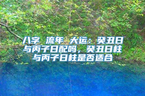 八字 流年 大运：癸丑日与丙子日配吗，癸丑日柱与丙子日柱是否适合