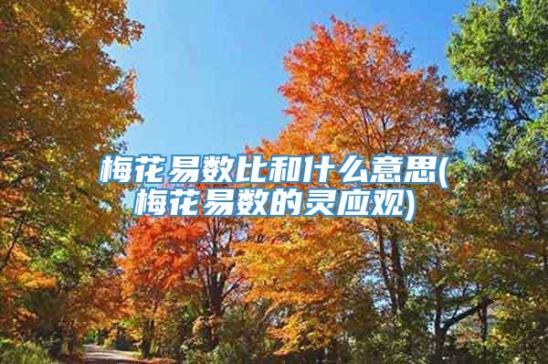 梅花易数比和什么意思(梅花易数的灵应观)