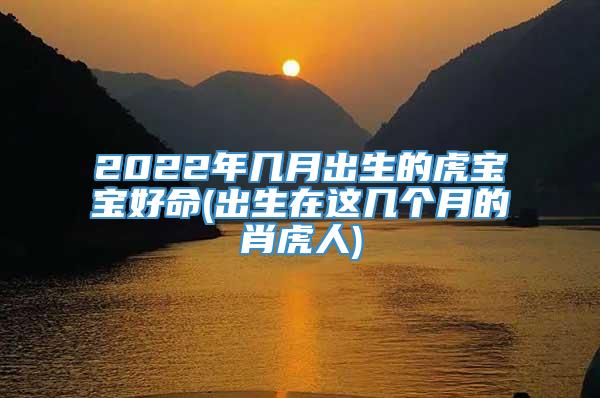 2022年几月出生的虎宝宝好命(出生在这几个月的肖虎人)