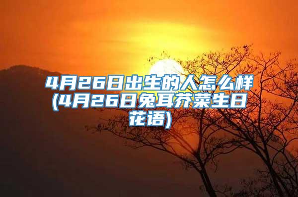4月26日出生的人怎么样(4月26日兔耳芥菜生日花语)