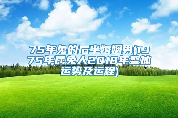 75年兔的后半婚姻男(1975年属兔人2018年整体运势及运程)