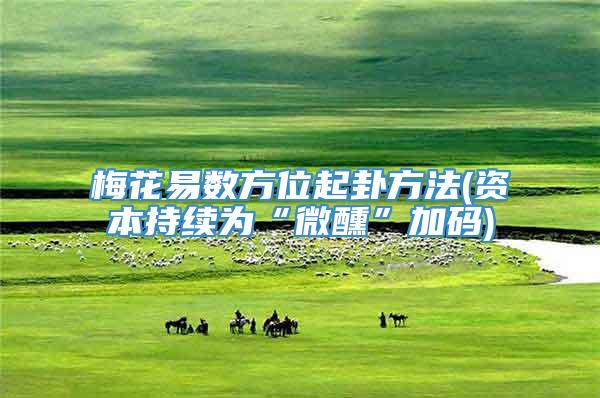 梅花易数方位起卦方法(资本持续为“微醺”加码)