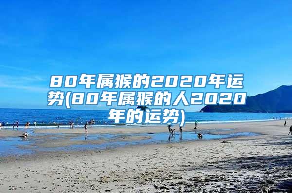 80年属猴的2020年运势(80年属猴的人2020年的运势)