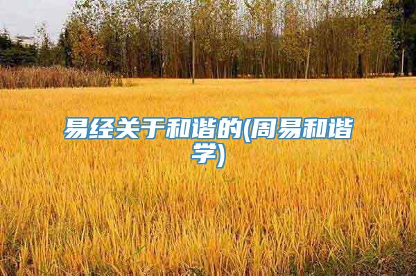 易经关于和谐的(周易和谐学)