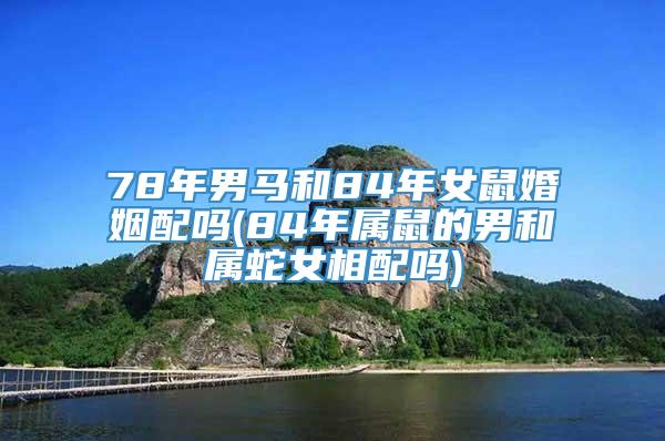 78年男马和84年女鼠婚姻配吗(84年属鼠的男和属蛇女相配吗)