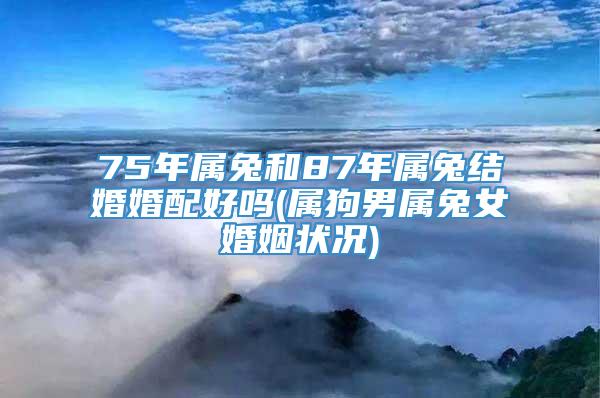 75年属兔和87年属兔结婚婚配好吗(属狗男属兔女婚姻状况)