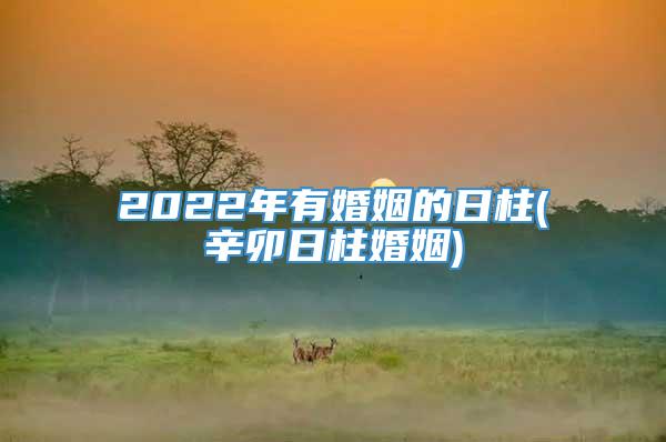 2022年有婚姻的日柱(辛卯日柱婚姻)