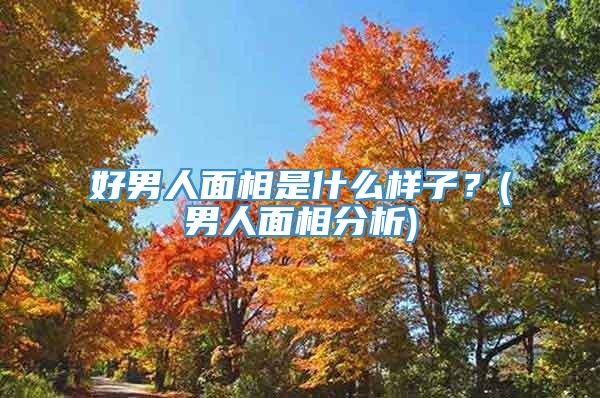 好男人面相是什么样子？(男人面相分析)