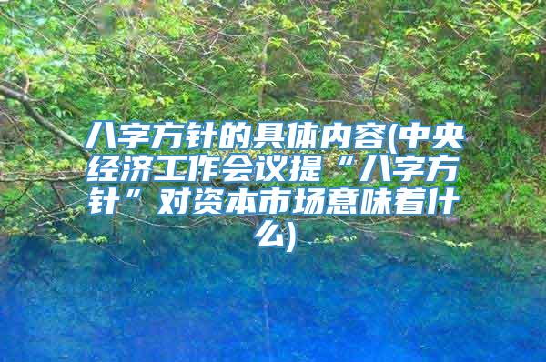 八字方针的具体内容(中央经济工作会议提“八字方针”对资本市场意味着什么)