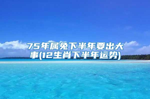 75年属兔下半年要出大事(12生肖下半年运势)