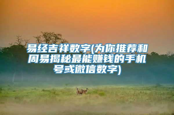 易经吉祥数字(为你推荐和周易揭秘最能赚钱的手机号或微信数字)