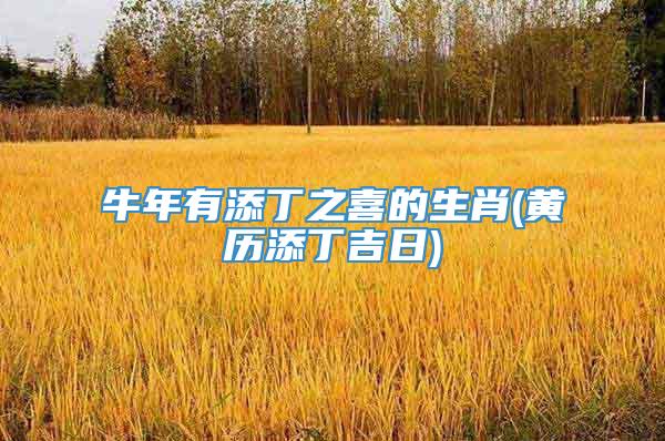 牛年有添丁之喜的生肖(黄历添丁吉日)