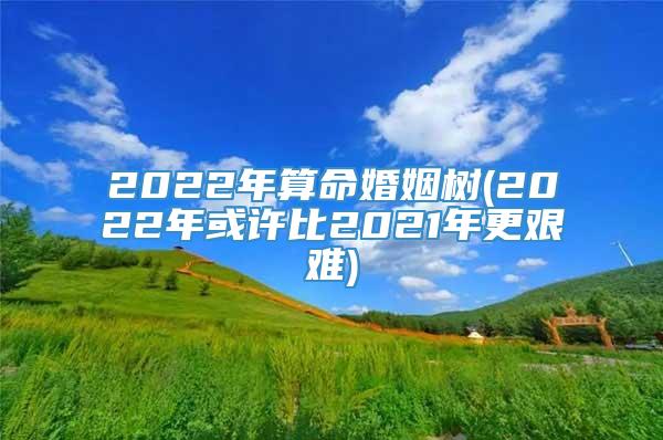 2022年算命婚姻树(2022年或许比2021年更艰难)