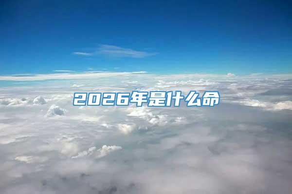 2026年是什么命