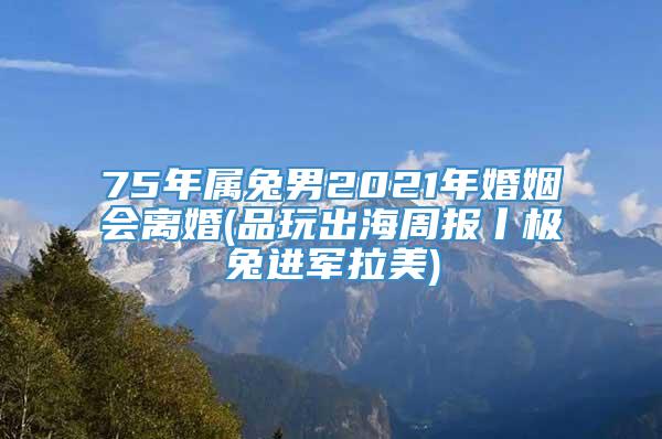 75年属兔男2021年婚姻会离婚(品玩出海周报丨极兔进军拉美)