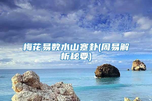 梅花易数水山蹇卦(周易解析秘要)