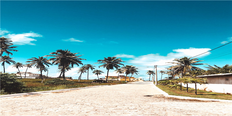 2021年阴历11月出生的牛宝宝好不好(2022多部精品“开门红”)