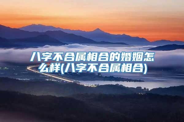 八字不合属相合的婚姻怎么样(八字不合属相合)