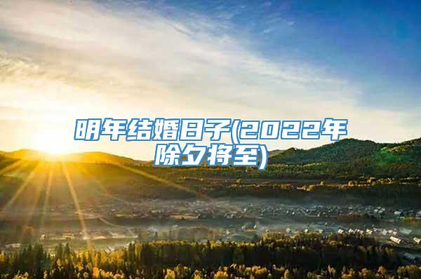 明年结婚日子(2022年除夕将至)