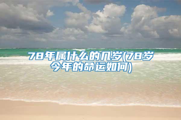 78年属什么的几岁(78岁今年的命运如何)