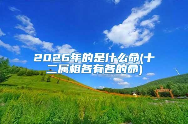 2026年的是什么命(十二属相各有各的命)