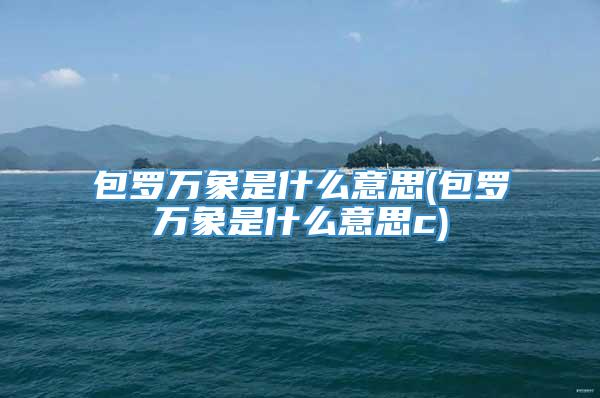 包罗万象是什么意思(包罗万象是什么意思c)