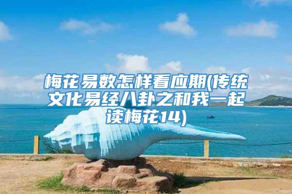 梅花易数怎样看应期(传统文化易经八卦之和我一起读梅花14)