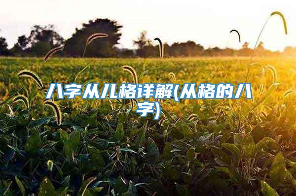 八字从儿格详解(从格的八字)
