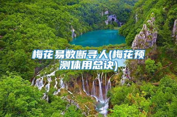 梅花易数断寻人(梅花预测体用总诀)