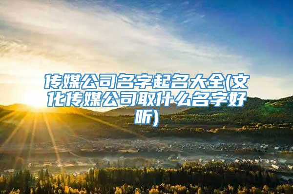 传媒公司名字起名大全(文化传媒公司取什么名字好听)