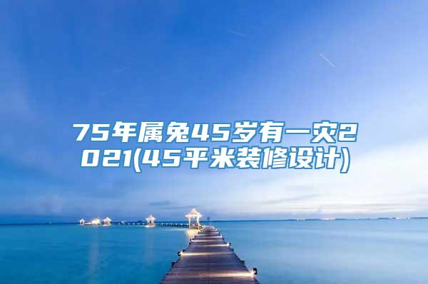 75年属兔45岁有一灾2021(45平米装修设计)