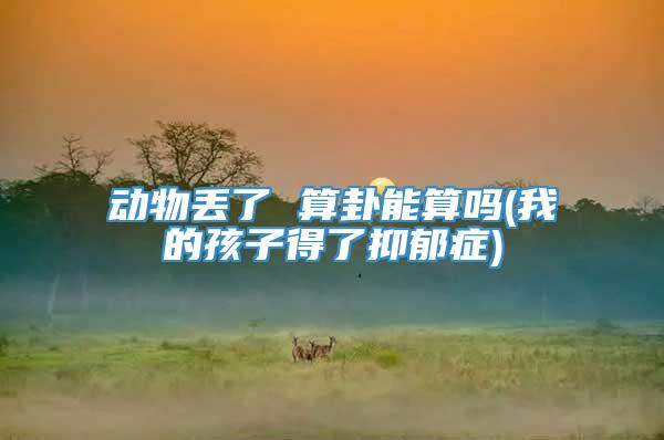 动物丢了 算卦能算吗(我的孩子得了抑郁症)