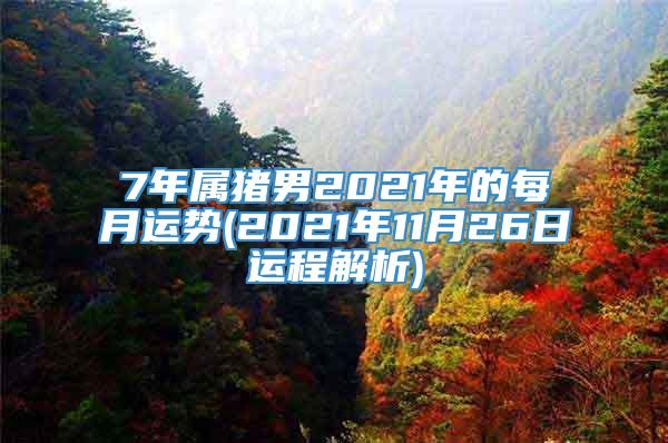 7年属猪男2021年的每月运势(2021年11月26日运程解析)