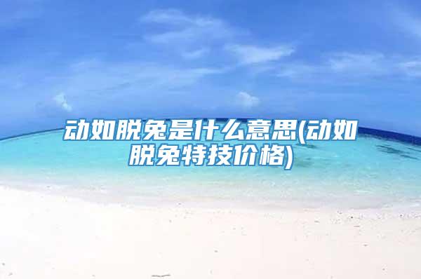 动如脱兔是什么意思(动如脱兔特技价格)