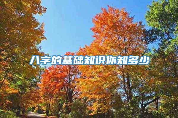 八字的基础知识你知多少