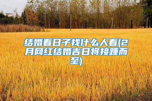 结婚看日子找什么人看(2月网红结婚吉日将接踵而至)