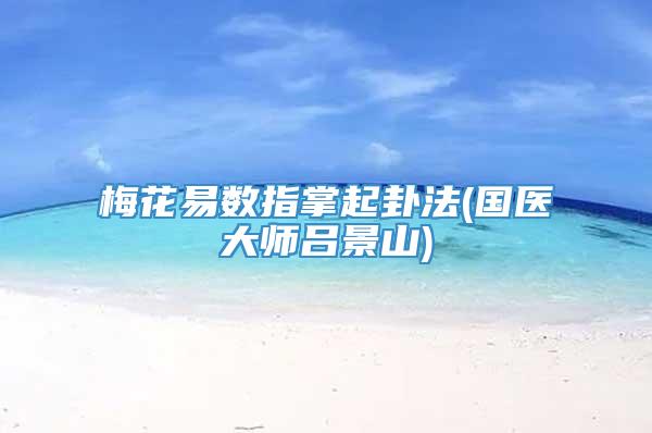 梅花易数指掌起卦法(国医大师吕景山)