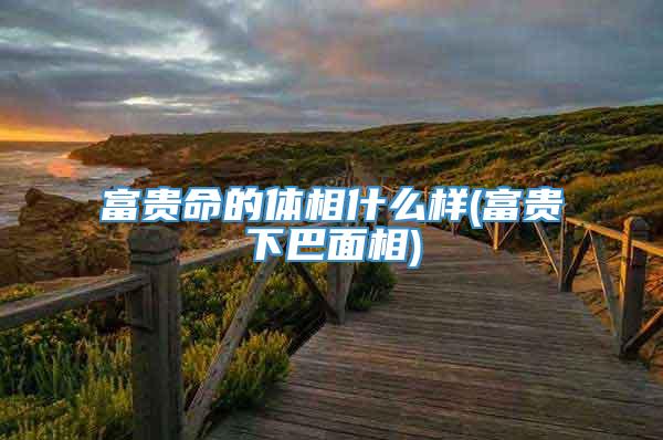 富贵命的体相什么样(富贵下巴面相)
