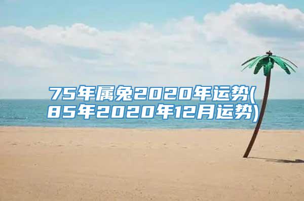 75年属兔2020年运势(85年2020年12月运势)