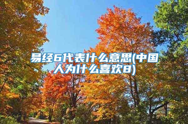 易经6代表什么意思(中国人为什么喜欢8)