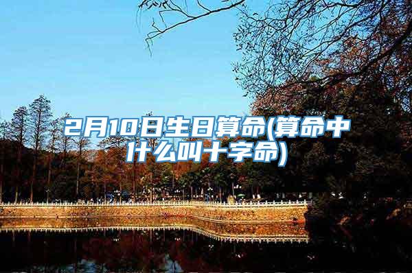 2月10日生日算命(算命中什么叫十字命)