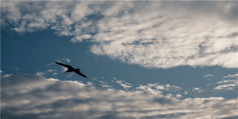 84年前的南京,有一个德国“活菩萨”