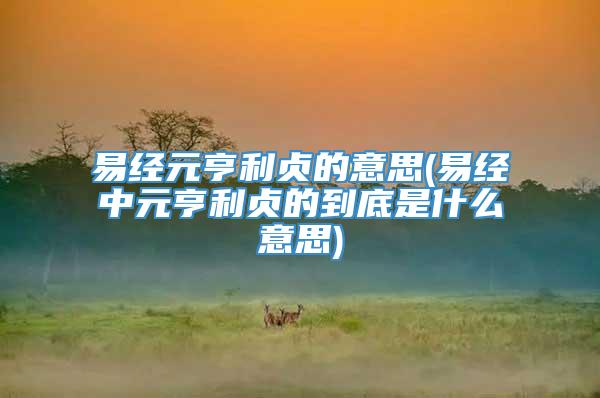 易经元亨利贞的意思(易经中元亨利贞的到底是什么意思)