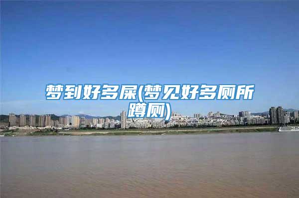 梦到好多屎(梦见好多厕所蹲厕)
