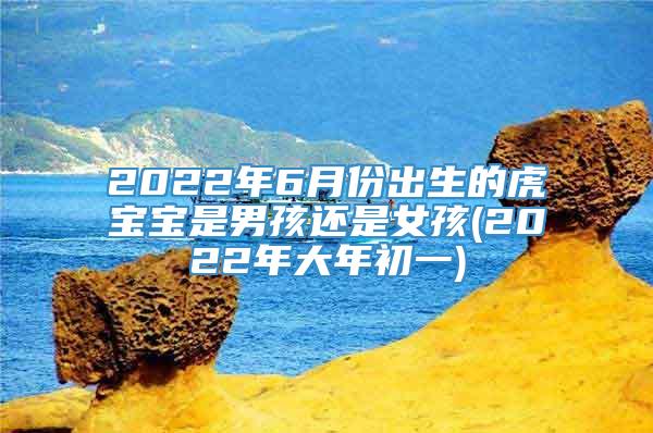 2022年6月份出生的虎宝宝是男孩还是女孩(2022年大年初一)