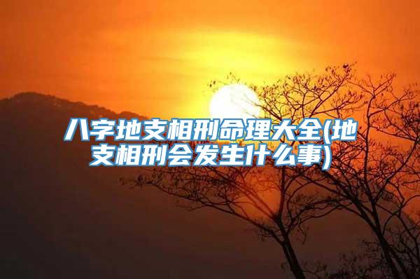八字地支相刑命理大全(地支相刑会发生什么事)