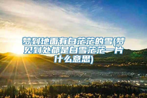 梦到地面有白茫茫的雪(梦见到处都是白雪茫茫一片什么意思)