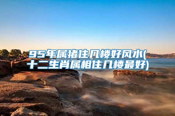 95年属猪住几楼好风水(十二生肖属相住几楼最好)